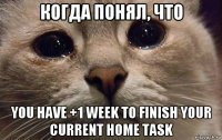 когда понял, что you have +1 week to finish your current home task