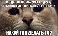 когда рогой забурстил а друид тебя скинул в пропасть на оке бури нахуй так делать то?