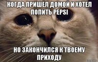 когда пришел домой и хотел попить pepsi но закончился к твоему приходу