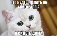 что будеш делать на 14февраля ? я сидеть дома