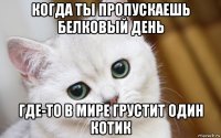 когда ты пропускаешь белковый день где-то в мире грустит один котик