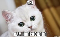 ты сам напросился