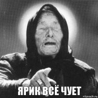 Ярик Всё чует