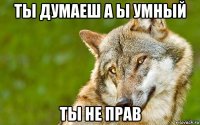 ты думаеш а ы умный ты не прав