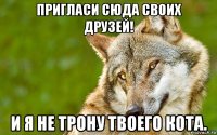 пригласи сюда своих друзей! и я не трону твоего кота.