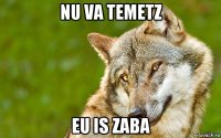 nu va temetz eu is zaba