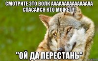 смотрите это волк аааааааааааааааа спасайся кто может!!! "ой да перестань"