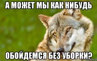 а может мы как нибудь обойдемся без уборки?