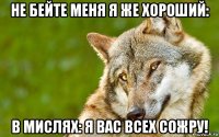 не бейте меня я же хороший: в мислях: я вас всех сожру!