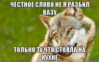 честное слово не я разбил вазу только ту что стояла на кухне