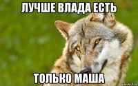 лучше влада есть только маша