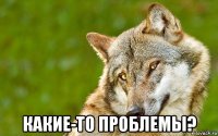  какие-то проблемы?