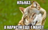 ильназ, а нарисуй еще 1 макет