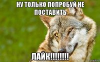 ну только попробуй не поставить лайк!!!!!!!!