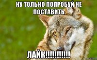 ну только попробуй не поставить лайк!!!!!!!!!!!