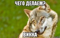 чего делаем? викка