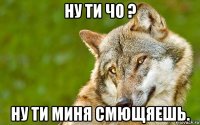 ну ти чо ? ну ти миня смющяешь.