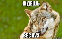 ждешь весну?