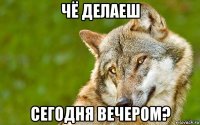 чё делаеш сегодня вечером?