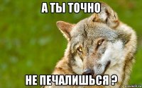 а ты точно не печалишься ?