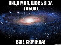 киця моя, шось я за тобою вже скучила!