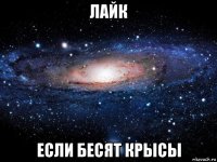 лайк если бесят крысы