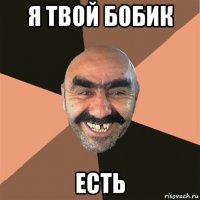 я твой бобик есть