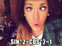  sin^2+cos^2=1