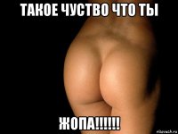 такое чуство что ты жопа!!!!!!