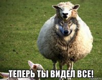  теперь ты видел все!