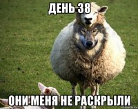 день 38 они меня не раскрыли