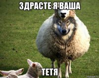 здрасте я ваша тетя