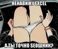 ненавижу excel а ты точно seoшник?