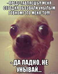 - представляешь!! меня сегодня обозвали унылым говном! это меня-то!!! - да ладно, не унывай...