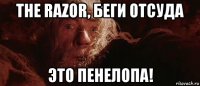 the razor, беги отсуда это пенелопа!