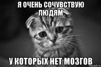 я очень сочувствую людям у которых нет мозгов