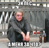 эй пес а меня за что?