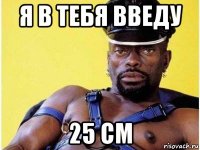 я в тебя введу 25 см