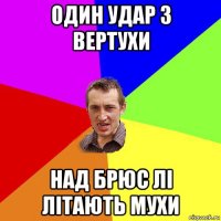 один удар з вертухи над брюс лі літають мухи