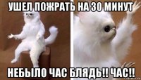 ушел пожрать на 30 минут небыло час блядь!! час!!