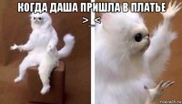 когда даша пришла в платье >_< 