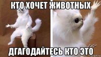 кто хочет животных дгагодайтесь кто это