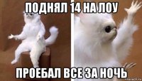 поднял 14 на лоу проебал все за ночь