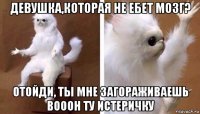 девушка,которая не ебет мозг? отойди, ты мне загораживаешь вооон ту истеричку