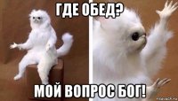 где обед? мой вопрос бог!