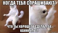 когда тебя спрашивают: что ты хорошего сделал за каникулы?