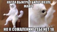 когда выиграл билет возле marty но к сожалению тебе нет 18