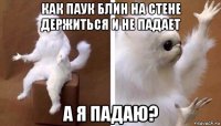 как паук блин на стене держиться и не падает а я падаю?