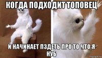 когда подходит топовец и начинает пздеть про то что я нуб