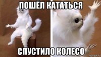 пошёл кататься спустило колесо